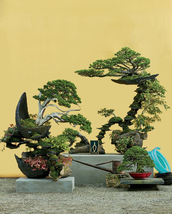 The Art of Bonsai: Mastering Timeless Miniature Tree Beauty