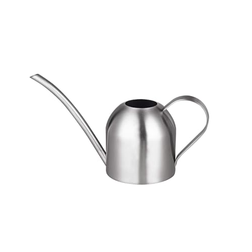 IMEEA Small Watering Can for Indoor Plants Stainless Steel Bonsai Watering can Mini Metal (15oz/450ml)
