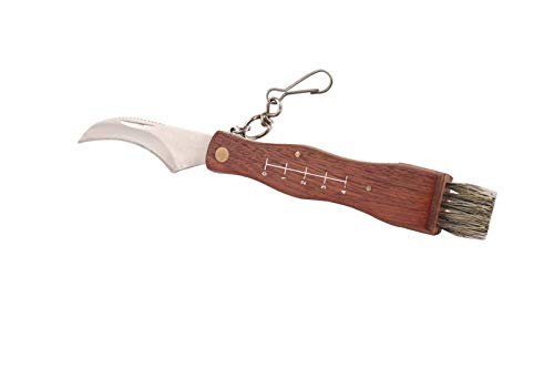 Mushroom Knife, Fungus Knife, Folding Camping Hunting Truffles Harvest Sharp Knives Natural Wood Handle Pocket Knife w/Bristle Brush, SS Pruning Blade, Hardwood Handle(Large)