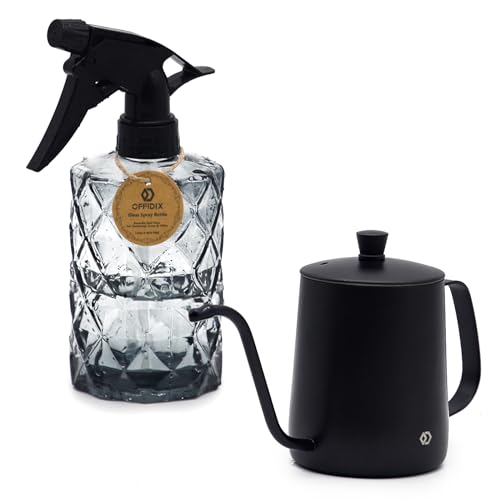 OFFIDIX Watering Can for Indoor Plants,Long Spout Metal Stainless Steel 21 oz/600 ml Watering Can with 14 oz/400ml Glass Plant Mister Spray Bottle for Plant Bonsai