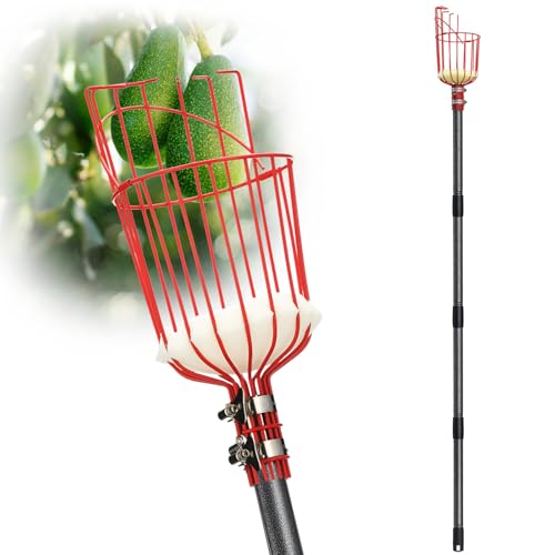 DonSail Fruit Picker Pole with Basket Telescoping, Citrus Orange Picker Pole with Basket 35-150 inch Long Handle, Mango Avocado Fig Acorn Pear Pomelo Chery Lemon Picker for Tree