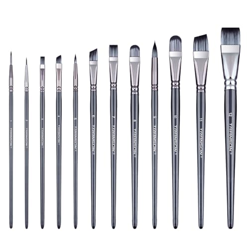 Transon Artist Paint Brush Set of 12