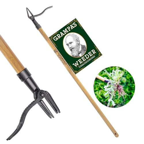 Grampa's Weeder - The Original Stand Up Weed Puller Tool with Long Handle - Made with Real Bamboo & 4-Claw Steel Head Design - Easily Remove Weeds Without Bending, Pulling, or Kneeling.