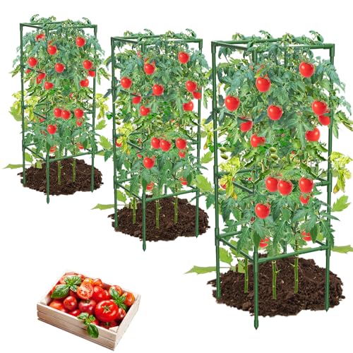 MQHUAYU 3 Pack Tomato Cages,Square Tomato Plant Stakes Support Cages Trellis for Garden Climbing Vegetables Flowers Fruits,Extra Bold