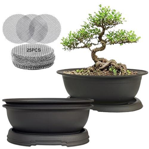 MUZHI 3 Pack Oval Bonsai Training Pot with Drainage Tray, Matte Finish Nursery Plastic Bonsai Planter with 25PCS 2inch Mesh pad (5.2