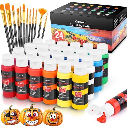 Caliart 24 Colors Acrylic Paint Set with 12 Brushes, Art Craft Paints Gifts Trendy Stuff for Adults Artists, Halloween Pumpkin Canvas Ceramic Rock Eggs Painting Kit Art Supplies