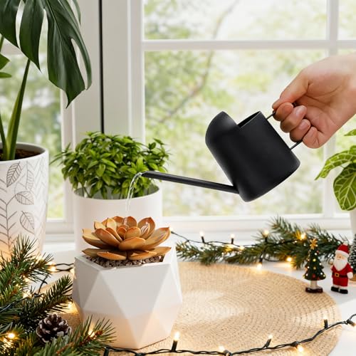 Bamworld Small Watering Can Indoor Outdoor Plant Black Metal Stainless Steel Long Spoutt Flowers Watering Cans for House Garden Plants 10OZ Watering Bottle Cute Decorative for Bonsai