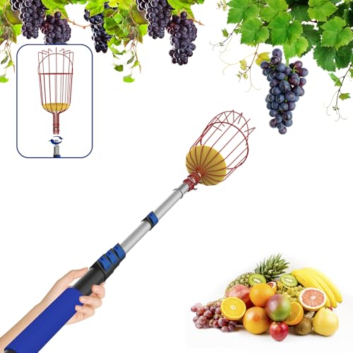 Karveden 26FT Reach Fruit Picker Pole with Basket Telescoping, 5-20FT Extendable Aluminum Apple Picker for Picking Avocados, Figs, Mangoes, Citrus Fruits - Durable Harvesting Fruit Catcher for Trees
