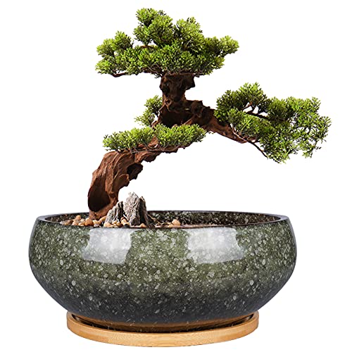 EPFamily 8 Inch Ceramic Bonsai Planter Pot, Glazed Shallow Succulent Planter with Drainage Hole and Bamboo Saucer for Indoor Plants, Brown