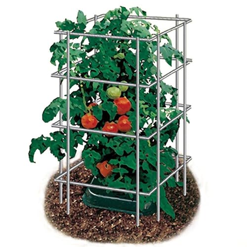 Park Seed Tomato Cages – 48