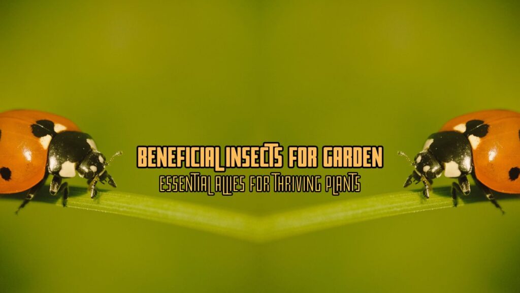 Beneficial Insects for Garden
