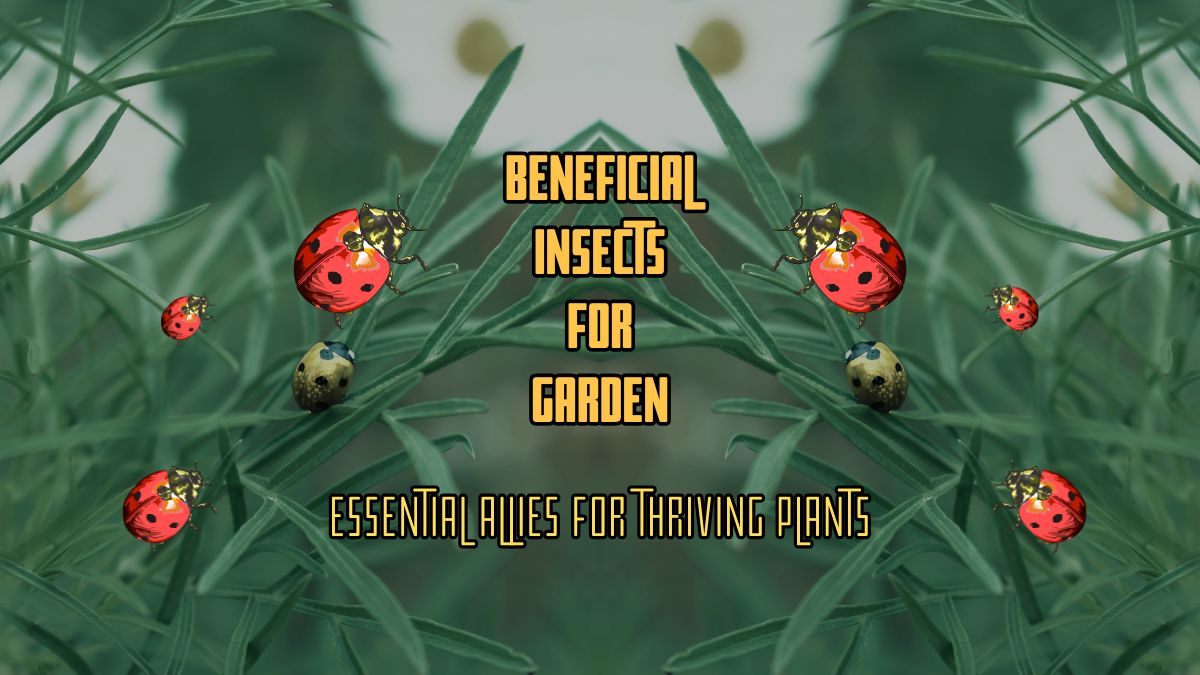 Beneficial Insects
