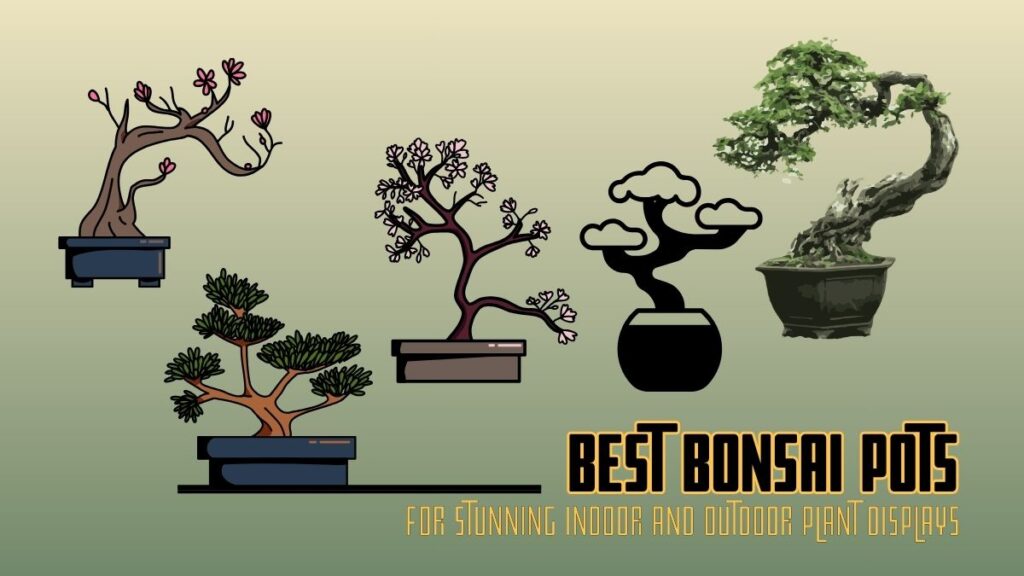 Best Bonsai Pots