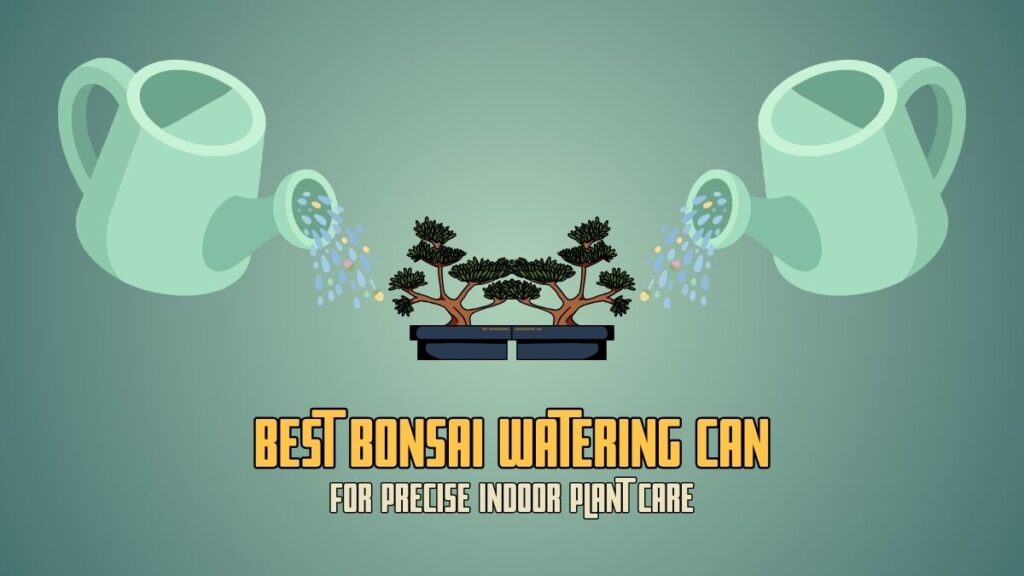 Best Bonsai Watering Can