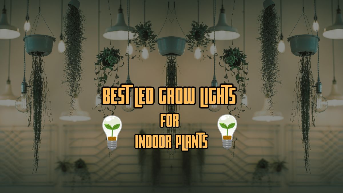 Best Led Grow Lights
