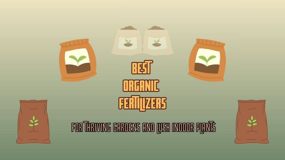 Best Organic Fertilizer