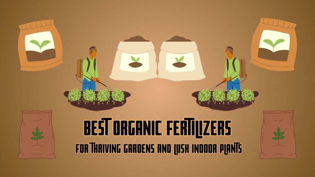 Best Organic Fertilizers