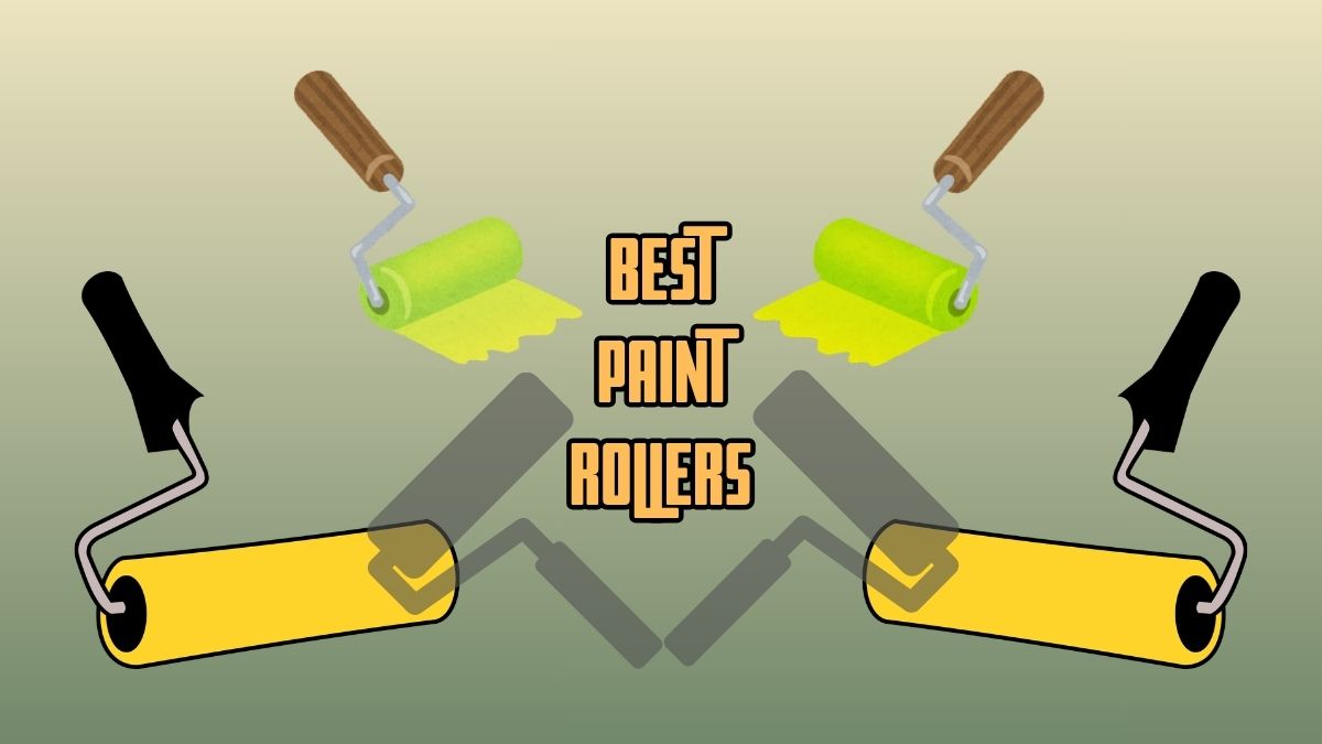 Best Paint Roller
