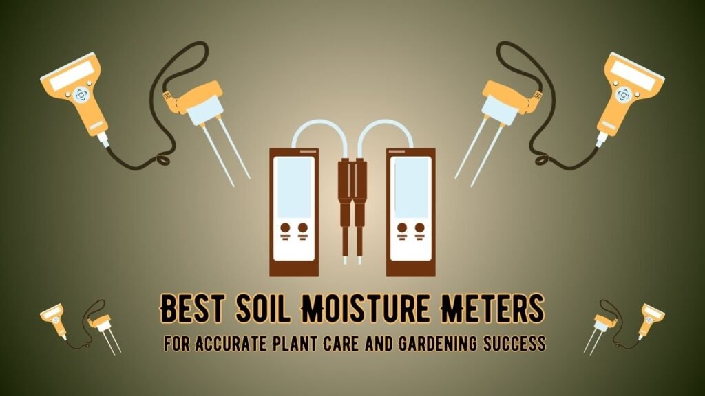 Best Soil Moisture Meters
