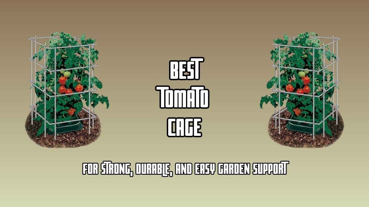 Best Tomato Cages