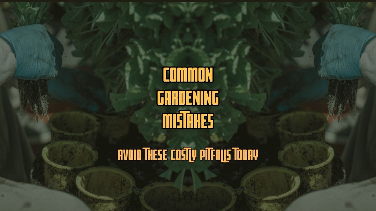 Common Gardening Mistake
