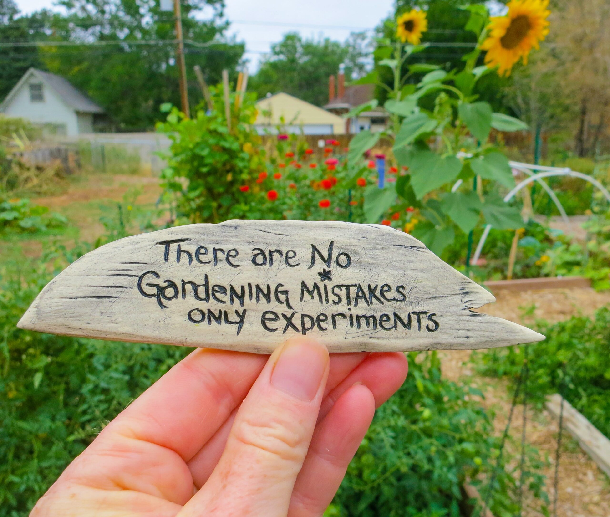 There are No Gardening Mistakes Only Experiments: Embrace Growth