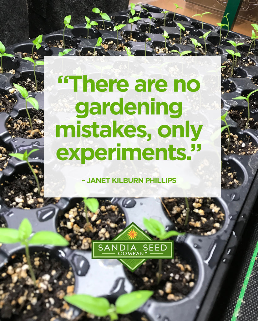 There are No Gardening Mistakes Only Experiments: Embrace Growth