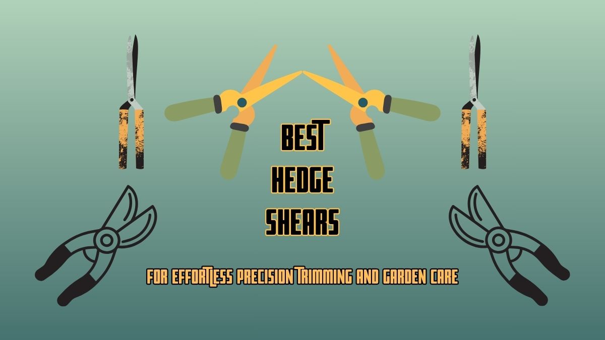 Hedge Shears