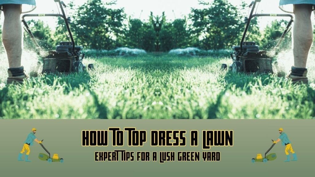 How to Top Dress a Lawn