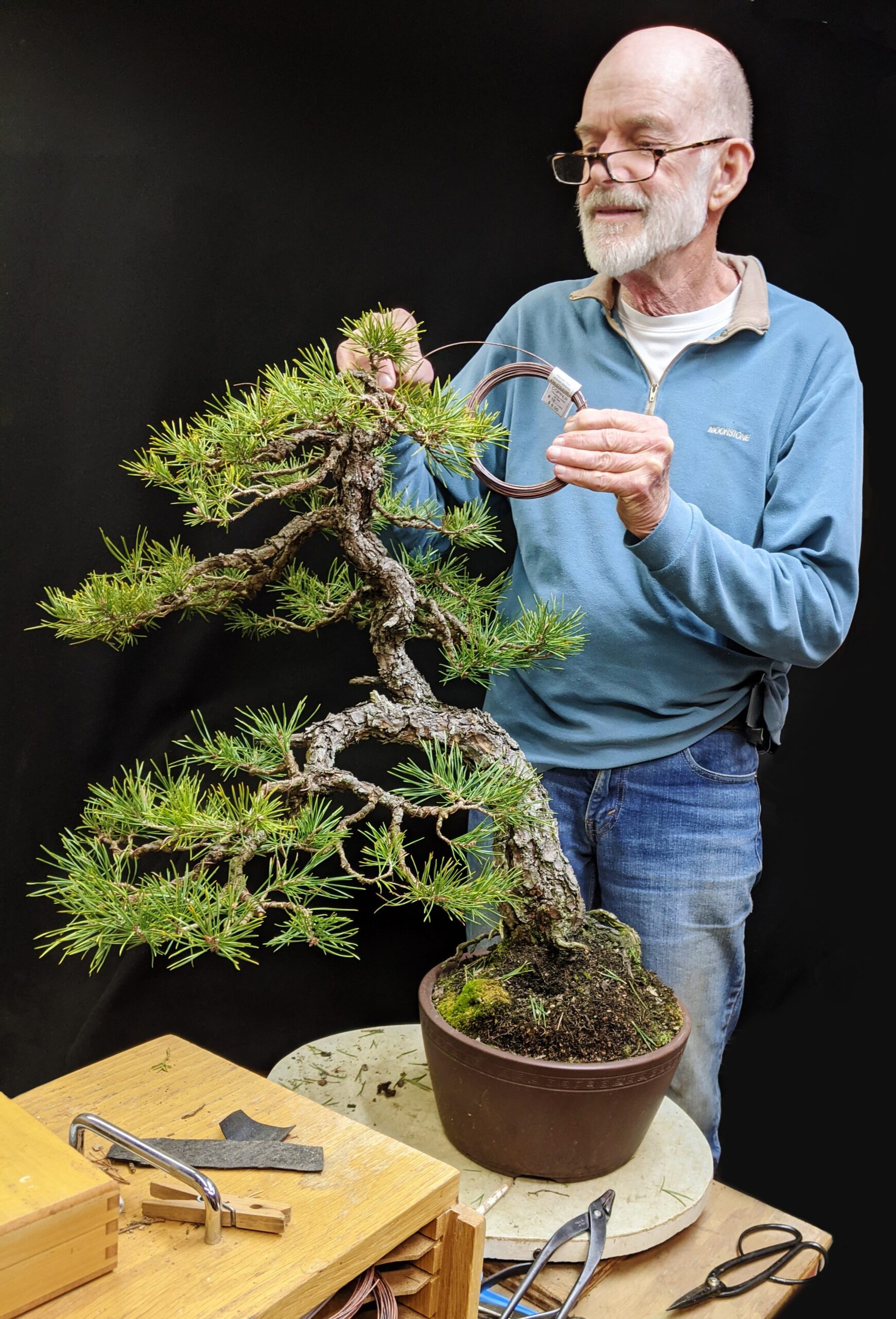 The Art of Bonsai: Mastering Timeless Miniature Tree Beauty
