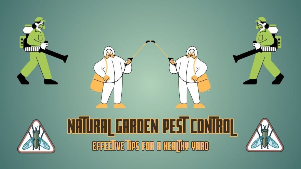 Natural Garden Pest Control