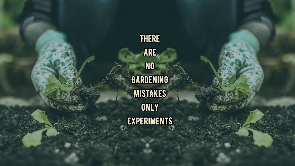 No Gardening Mistakes Only Experiments