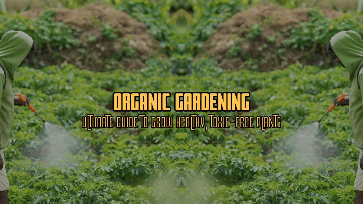 Organic Garden