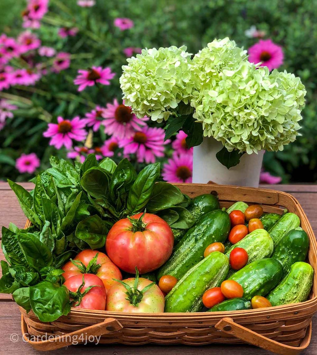 Organic Gardening: Ultimate Guide to Grow Healthy, Toxic-Free Plants