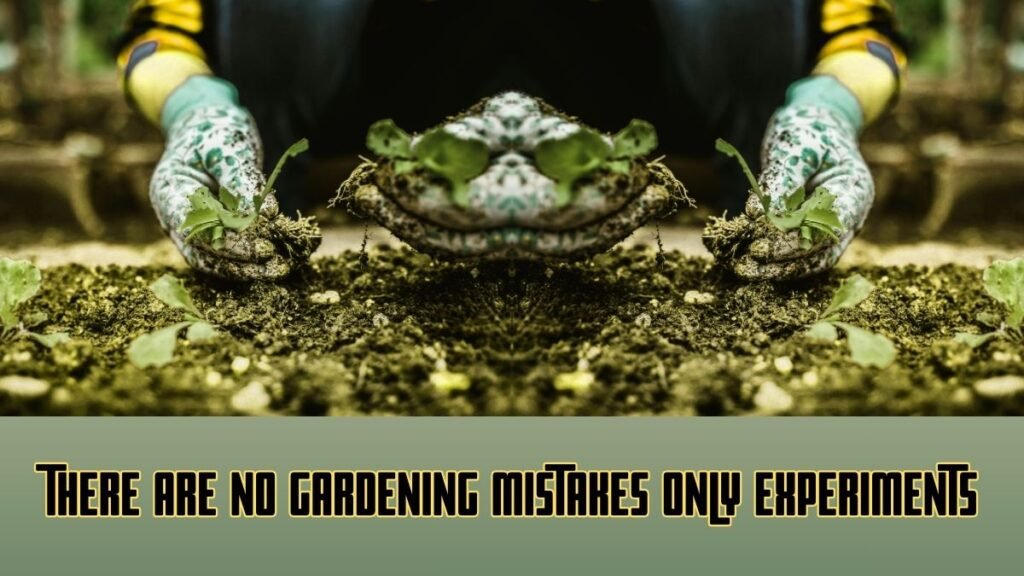 There are No Gardening Mistakes Only Experiments