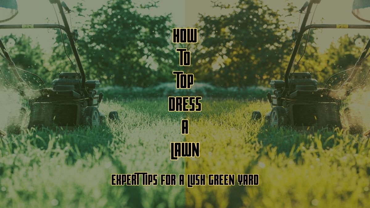 Top Dress a Lawn