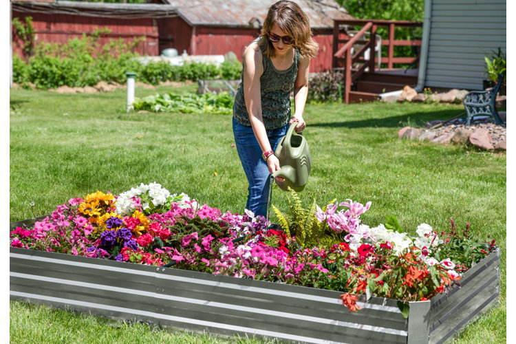 Chaos Gardening: Unlock Wild Beauty with Effortless Nature