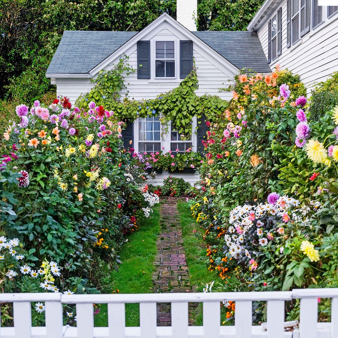 Cottage Garden Ideas: Stunning Tips for a Charming Backyard