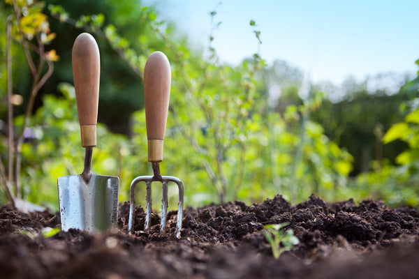 Best Garden Tool Brands: Top Picks for Durable & Efficient Gear