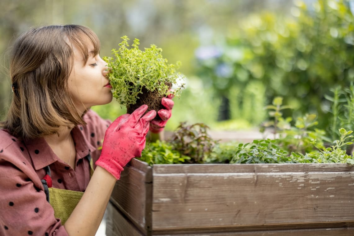 Organic Gardening: Ultimate Guide to Grow Healthy, Toxic-Free Plants