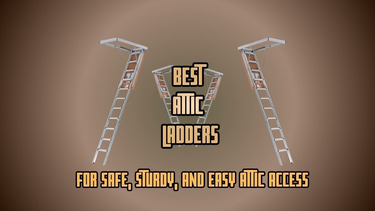 Best Attic Ladder